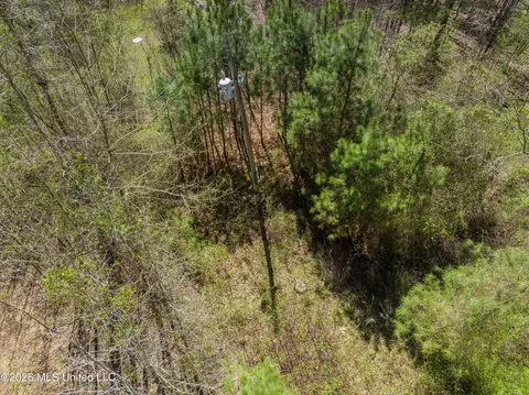 60472 Old Highway 6, Amory, MS 38821 photo 9