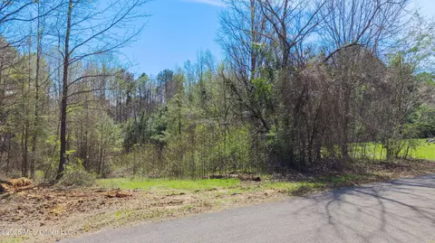 60472 Old Highway 6, Amory, MS 38821 photo 12