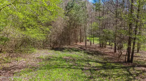 60472 Old Highway 6, Amory, MS 38821 photo 13