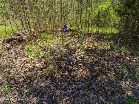 60472 Old Highway 6, Amory, MS 38821 photo 5
