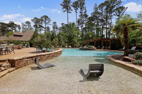 Exterior - 316 Culleys Stand, Madison, MS 39110 photo 18 of 21