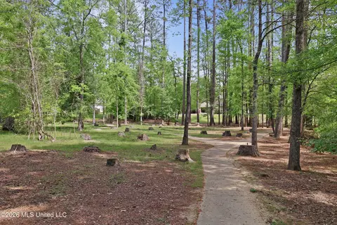 Exterior - 316 Culleys Stand, Madison, MS 39110 photo 21 of 21