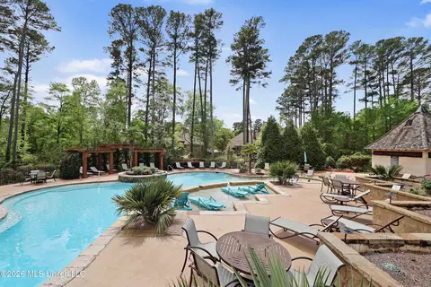 Exterior - 316 Culleys Stand, Madison, MS 39110 photo 16 of 21