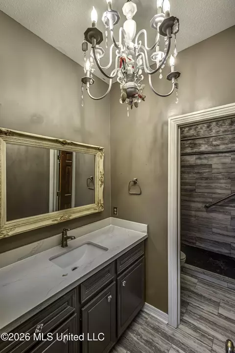 Bath - 210 Sandpiper Rd, Brandon, MS 39047 photo 2 of 4