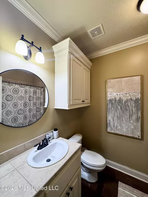Bath - 148 W Pinebrook Dr, Brandon, MS 39047 photo 4 of 4