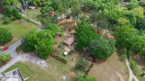 View/Area - 9233 Mississippi 613, Lucedale, MS 39452 photo 3 of 7