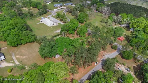 View/Area - 9233 Mississippi 613, Lucedale, MS 39452 photo 4 of 7