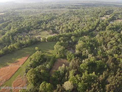 Newman Road, Edwards, MS 39066 photo 10