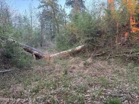 Newman Road, Edwards, MS 39066 photo 5