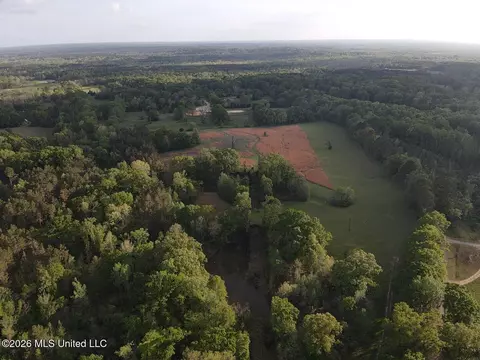 Newman Road, Edwards, MS 39066 photo 9