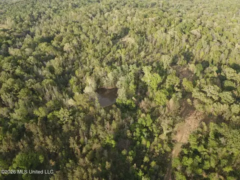Newman Road, Edwards, MS 39066 photo 11