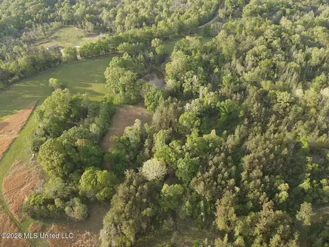 Newman Road, Edwards, MS 39066 photo 13