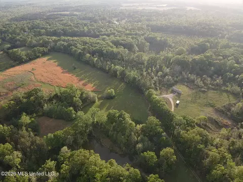 Newman Road, Edwards, MS 39066 photo 18