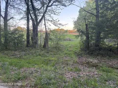 Newman Road, Edwards, MS 39066 photo 4