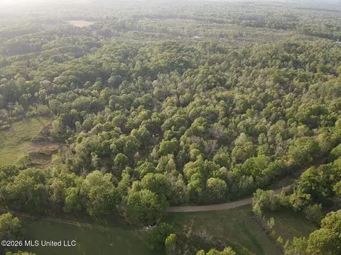 Newman Road, Edwards, MS 39066 photo 16