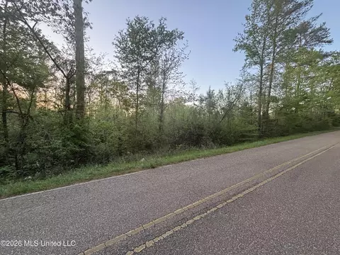 Newman Road, Edwards, MS 39066 photo 2
