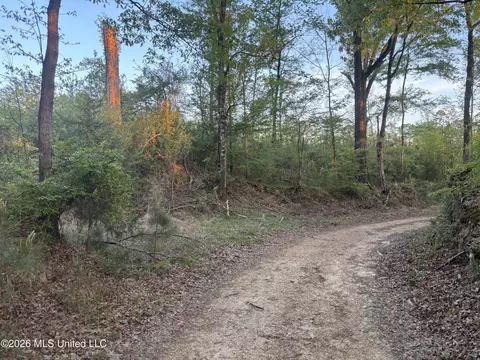 Newman Road, Edwards, MS 39066 photo 8
