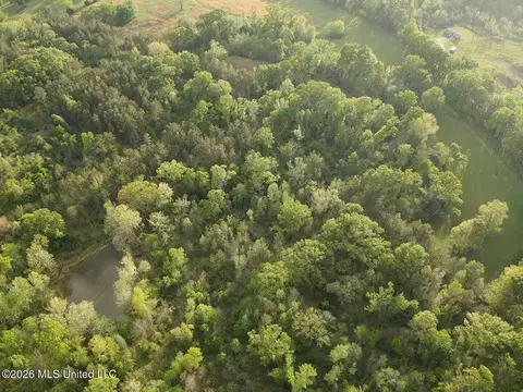 Newman Road, Edwards, MS 39066 photo 15
