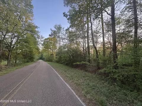 Newman Road, Edwards, MS 39066 photo 6