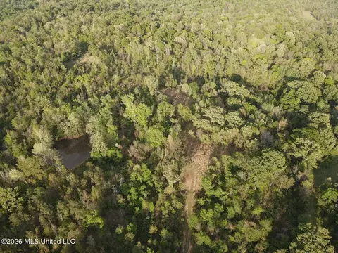 Newman Road, Edwards, MS 39066 photo 12