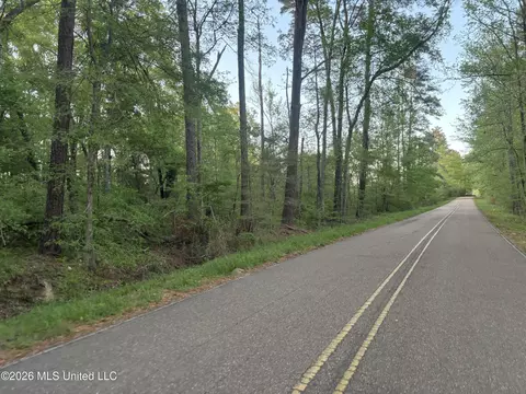 Newman Road, Edwards, MS 39066 photo 3