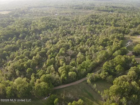 Newman Road, Edwards, MS 39066 photo 17