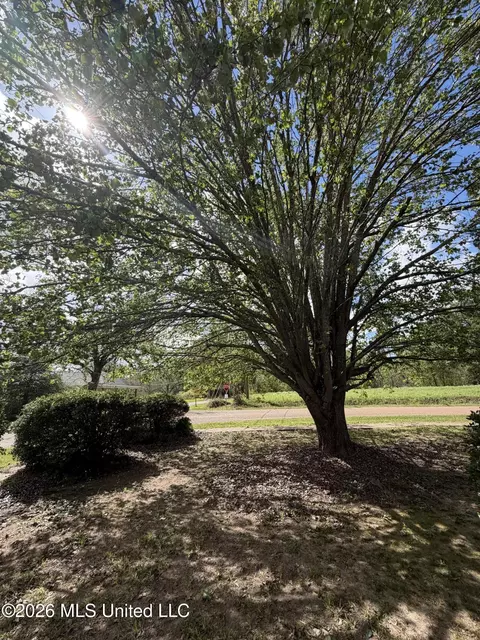 Exterior - 1089 Wells St, Wesson, MS 39191 photo 11 of 11