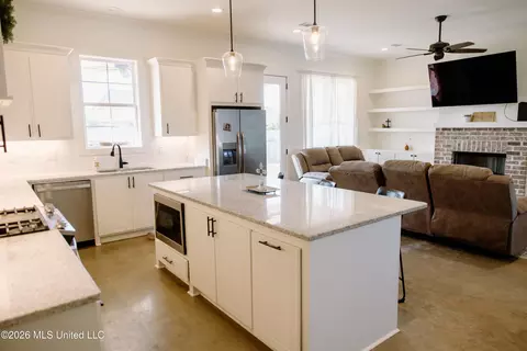 Kitchen - 209 Ashbury Cv, Canton, MS 39046 photo 3 of 3