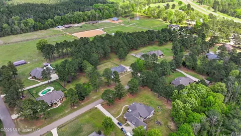 View/Area - 306 Kitty Hawk Cir, Brandon, MS 39047 photo 4 of 16