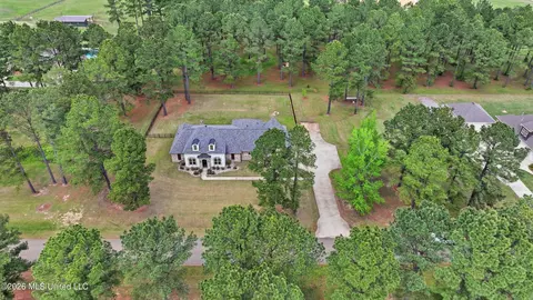 View/Area - 306 Kitty Hawk Cir, Brandon, MS 39047 photo 9 of 16