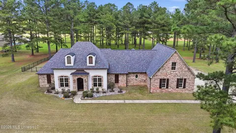 Exterior - 306 Kitty Hawk Cir, Brandon, MS 39047 photo 13 of 13