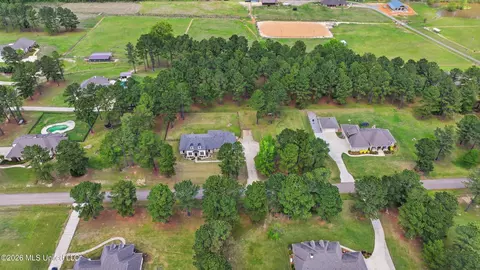View/Area - 306 Kitty Hawk Cir, Brandon, MS 39047 photo 3 of 16