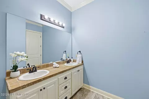 Bath - 306 Kitty Hawk Cir, Brandon, MS 39047 photo 3 of 4