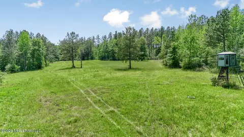 Other - 1021 Tyler Dr, Summit, MS 39666 photo 16 of 21