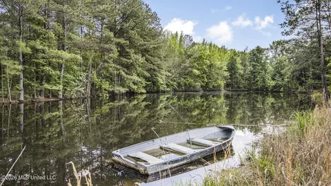 View/Area - 1021 Tyler Dr, Summit, MS 39666 photo 4 of 12