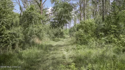 Other - 1021 Tyler Dr, Summit, MS 39666 photo 12 of 21