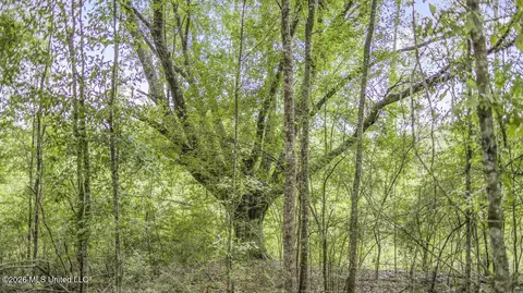 Other - 1021 Tyler Dr, Summit, MS 39666 photo 8 of 21