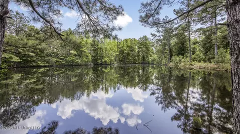 View/Area - 1021 Tyler Dr, Summit, MS 39666 photo 5 of 12
