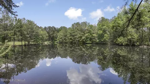 View/Area - 1021 Tyler Dr, Summit, MS 39666 photo 6 of 12