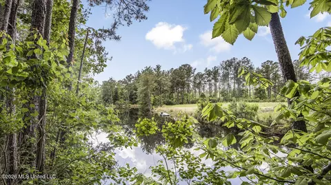 View/Area - 1021 Tyler Dr, Summit, MS 39666 photo 2 of 12