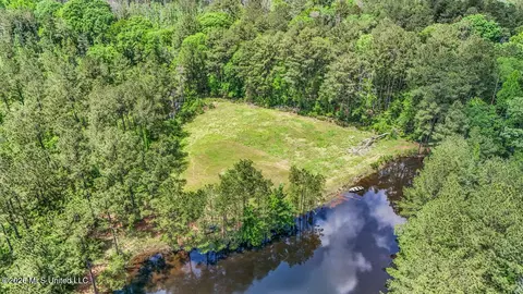 View/Area - 1021 Tyler Dr, Summit, MS 39666 photo 8 of 12