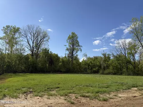 00 Plainview Dr #LOT 1, Vicksburg, MS 39180