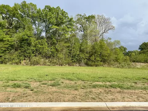 00 Plainview Dr #LOT 4, Vicksburg, MS 39180 photo 3