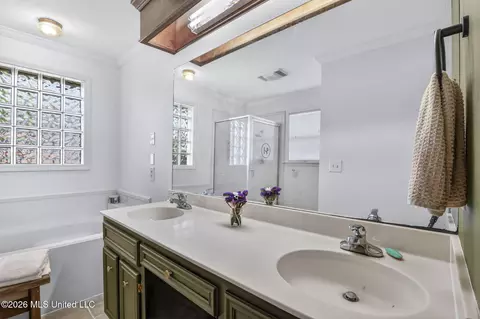 Bath - 614 Spencer Dr, Brandon, MS 39042 photo 1 of 6
