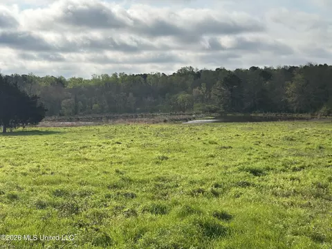 View/Area - 726 Neal Rd, Forest, MS 39074 photo 2 of 2