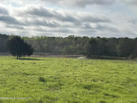View/Area - 726 Neal Rd, Forest, MS 39074 photo 1 of 2