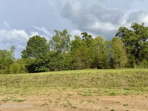 00 Plainview Dr #LOT 8, Vicksburg, MS 39180 photo 2