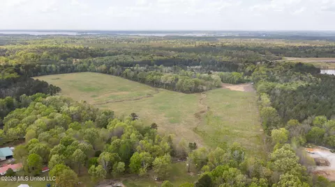 Pisgah Road, Brandon, MS 39047 photo 5