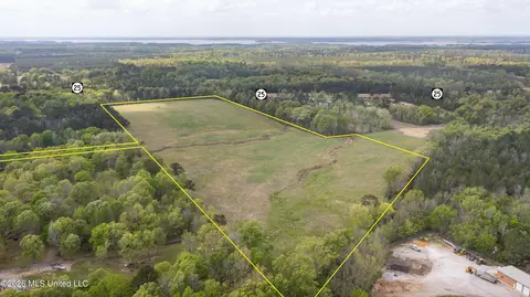 Pisgah Road, Brandon, MS 39047 photo 4