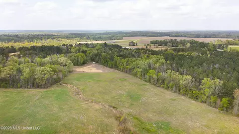 Pisgah Road, Brandon, MS 39047 photo 12